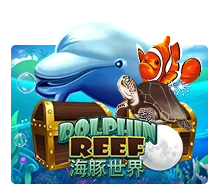 Dolphin Reef